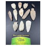 12 Native American projectile points and stone