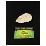 Paleo Early Ovoid Knife