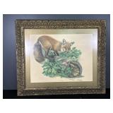 Red fox Wall Art by Richard Timm