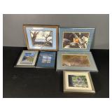 Various Nature Framed Photographs