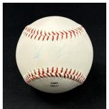 St. Louis Cardinals Pete Kozma (Faded)