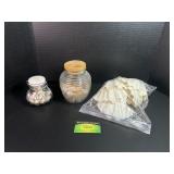 Small Jars of Sea Shells