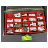 Fossil Collection