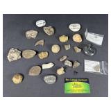 Fossils and more