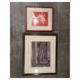 Framed prints signed