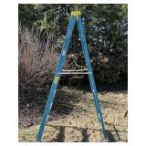 Werner 8 Foot Ladder