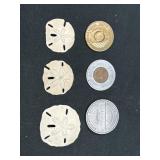 Sand Dollars, Land Of Lincoln Penny, and More