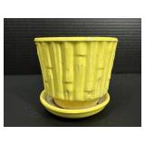 Yellow McCoy Flower pot