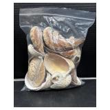 Bag Of Seashells