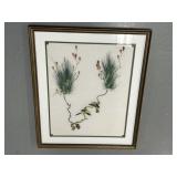 Framed Bird & Pine Botanical Style Print