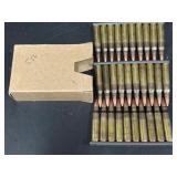 5.56 ammo