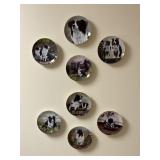 8 Border Collie Decorative Plates and Glass Decor