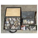 Petrified Wood, Rock & Shell Collection