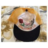 Rosebowl Iowa Washington Hat