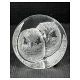 Fledgling Owl crystal Paperweight