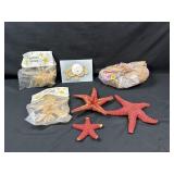 Starfish & More