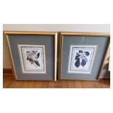 2 Framed Magnolia Botanical Prints Gold Frames
