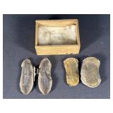 Mazon Creek IL Trilobite Fossils & Stone Set