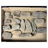 Mazon Creek IL Fossil Nodule Collection