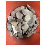 Mazon Creek IL Fossil Nodule Bucket