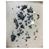 Fossil Shark Tooth & Fragments