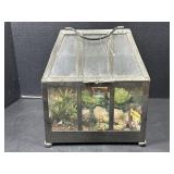Decorative Glass Terrarium with Succulent Display