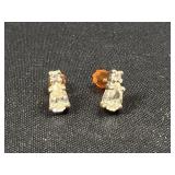 Sterling Silver earrings