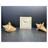 2 Conch Shells & Beach Wall Plaque