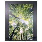 Stretched Canvas Photo
