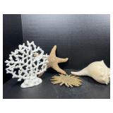 Coastal Decor with Coral, Shell & Starfish