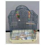 Birdcage