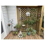 Plants & More
