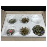 Chive Ceramic Succulent Decor