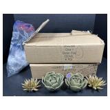 Chive Ceramic Succulent Decor Set of 4