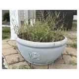 Large Plastic Flower Planter