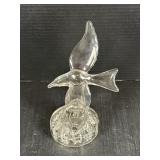 Glass Bird flower Frog