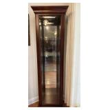 Lighted Curio Cabinet with Mirrored Interior