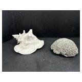 Conch Shell and Brain Coral