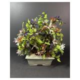 Jade & Hardstone Flowering Bonsai Tree
