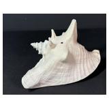 Seashell