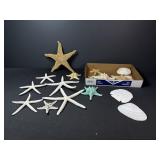 Starfish & Sand Dollars