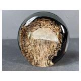 Jellyfish Glass Paperweight