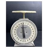 Hanson Food Scale