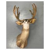 Deer head