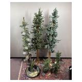 Christmas Decor