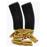 20 Rounds Of .458 Socom Ammo & 2 Magazines