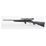 Stevens Model 62 .22 LR Semi-Automatic Rifle with