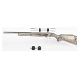 Ruger Model 10/22 Carbine, .22 LR, Stainless with