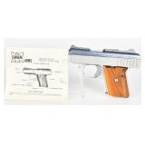 Raven Arms Model P-25 Semi-Auto Pistol .25 Auto