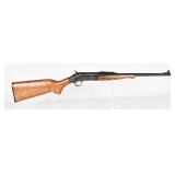 New England Firearms Versa-Pack .22 LR Rifle